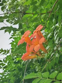 “尊重生命、尊重他人也尊重自己的生命，是生命進程中的伴隨物，也是心理健康的一個條件。”——弗洛姆
 
親愛的朋友，新的一天又來臨了，周末也已悄然到來，愿您能在這兩天里盡情放松，享受美好時光，繼續充滿力量，積極樂觀地度過。祝您周末愉快，萬事勝意！配圖