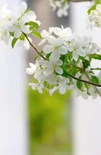 “幸運的人一生都被童年治愈，不幸的人一生都在治愈童年。”——阿德勒
 
親愛的朋友，新的一天開始了。愿您今日諸事順遂，快樂無憂！配圖