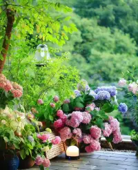 “人生就像一盒巧克力，你永遠(yuǎn)不知道下一塊會(huì)是什么味道。”——《阿甘正傳》
 
親愛的朋友，新的一天愿您活力滿滿，收獲滿滿的幸福！
