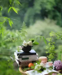 “人生就像一盒巧克力，你永遠(yuǎn)不知道下一塊會(huì)是什么味道。”——《阿甘正傳》
 
親愛的朋友，新的一天愿您活力滿滿，收獲滿滿的幸福！