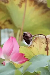 花時(shí)間與親朋好友相處，定期聚會(huì)、聊天、分享生活。關(guān)心他人的需求，提供幫助和支持，同時(shí)也接受他人的關(guān)心和幫助。