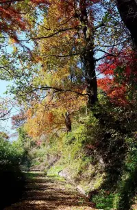 生活可能已經(jīng)天翻地覆，或者我們可能會(huì)同時(shí)處理許多項(xiàng)目。有影響的變化可能已經(jīng)發(fā)生，或者我們可能會(huì)發(fā)現(xiàn)自己在情感和精神上掙扎。
在我們一年中的這個(gè)時(shí)候也可能是一個(gè)艱難的時(shí)刻，因?yàn)槲覀兂袚?dān)家庭責(zé)任和更多的事情。
無論你的世界發(fā)生了什么，請(qǐng)相信都會(huì)給你帶來力量和支持。提醒我們要保持信心