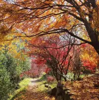 生活可能已經(jīng)天翻地覆，或者我們可能會(huì)同時(shí)處理許多項(xiàng)目。有影響的變化可能已經(jīng)發(fā)生，或者我們可能會(huì)發(fā)現(xiàn)自己在情感和精神上掙扎。
在我們一年中的這個(gè)時(shí)候也可能是一個(gè)艱難的時(shí)刻，因?yàn)槲覀兂袚?dān)家庭責(zé)任和更多的事情。
無論你的世界發(fā)生了什么，請(qǐng)相信都會(huì)給你帶來力量和支持。提醒我們要保持信心