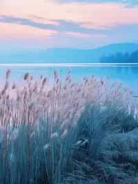 冬至，陰極之至，陽(yáng)氣始生。
這是自然的更迭，亦如生命的律動(dòng)。
生命恰似四季輪回，有寒夜般的低谷，也有暖春似的盛景。
在這最長(zhǎng)的夜，我們感悟生命的蟄伏，它并非停滯，而是在寂靜中積蓄力量。