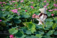 洗盡鉛華始見真
歸來依舊香如故
要相信人本身的力量。配圖