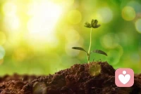 矯正感受體驗從來不是否定自己的過去和現在
而是真實看到自己無意識的呈現
看到別人不一樣的呈現
發現自己還有別的選擇
不被單一的習慣困住配圖