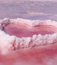 你是你，問題是問題，你不是問題。“更好地成為自己”，而不是“成為更好的自己”。你的存在本身就是值得被愛、被尊重的，而不是需要用不斷付出、事事完美才能被愛。