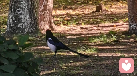 专注力不足，更需要心理调节