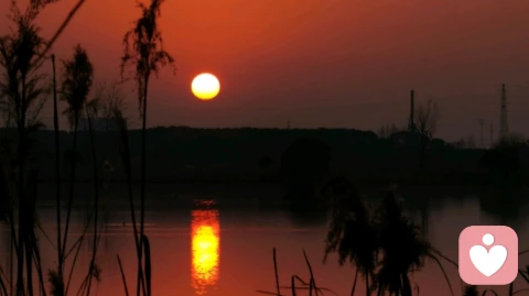 困在原生家庭的伤里，或许是因为成年没成长