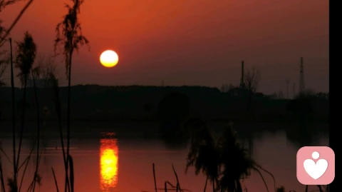 鸟随鸾凤飞腾远，人伴良贤品自高。选择对的人，去做对的事儿