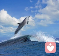 入芝兰之室，久而不闻其香，因你已成香。
与对的人同行，走对的路，做对的事，终成更好的自己。配图