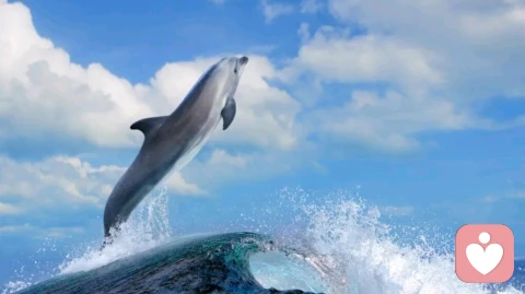 检拾过往的闪光点，聚集应对未来的力量