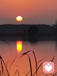 新春逐梦去，马踏飞燕来。配图