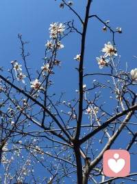 拖延是恐惧，越怕越难开始。一旦开始，也许就变得容易很多。我们要寻找的是开始的勇气。配图