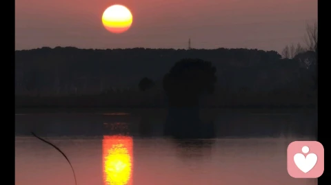过度付出,你可能混淆了“愿意”和“必须”的界限