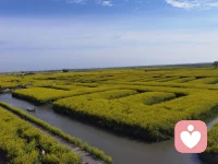 ​做决定前，先拿起奥卡姆剃刀。配图