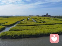 是你本善良，还是讨好型人格，只需分清是“愿意”还是“应该”配图