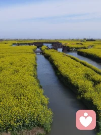 一个行为让你难受了很久，但你还是一直坚持这么做，也许这个行为的背后有隐性受益。配图