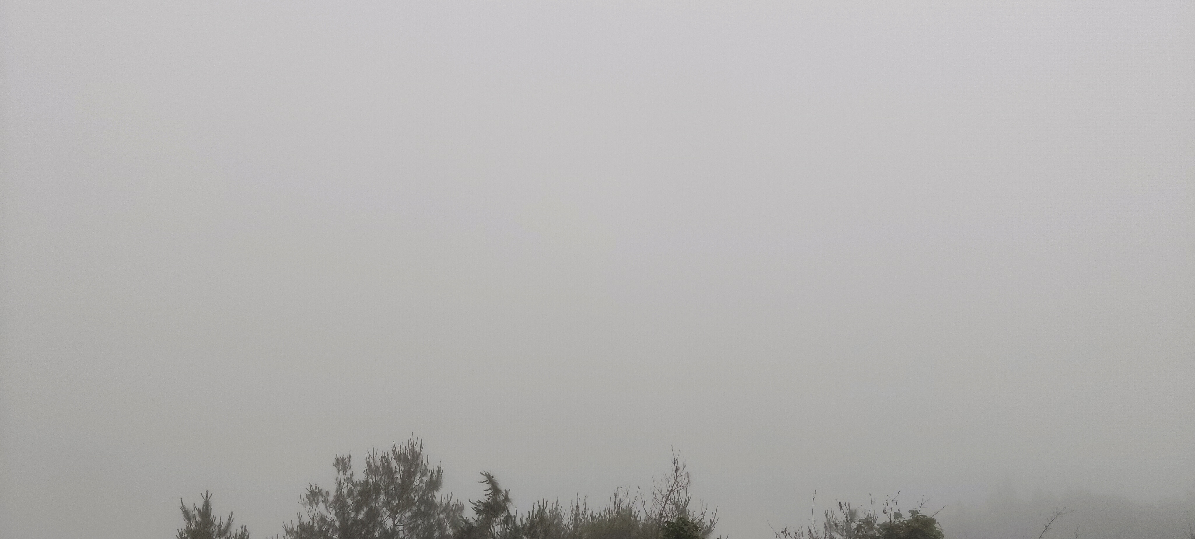 时光洪流的回答图片