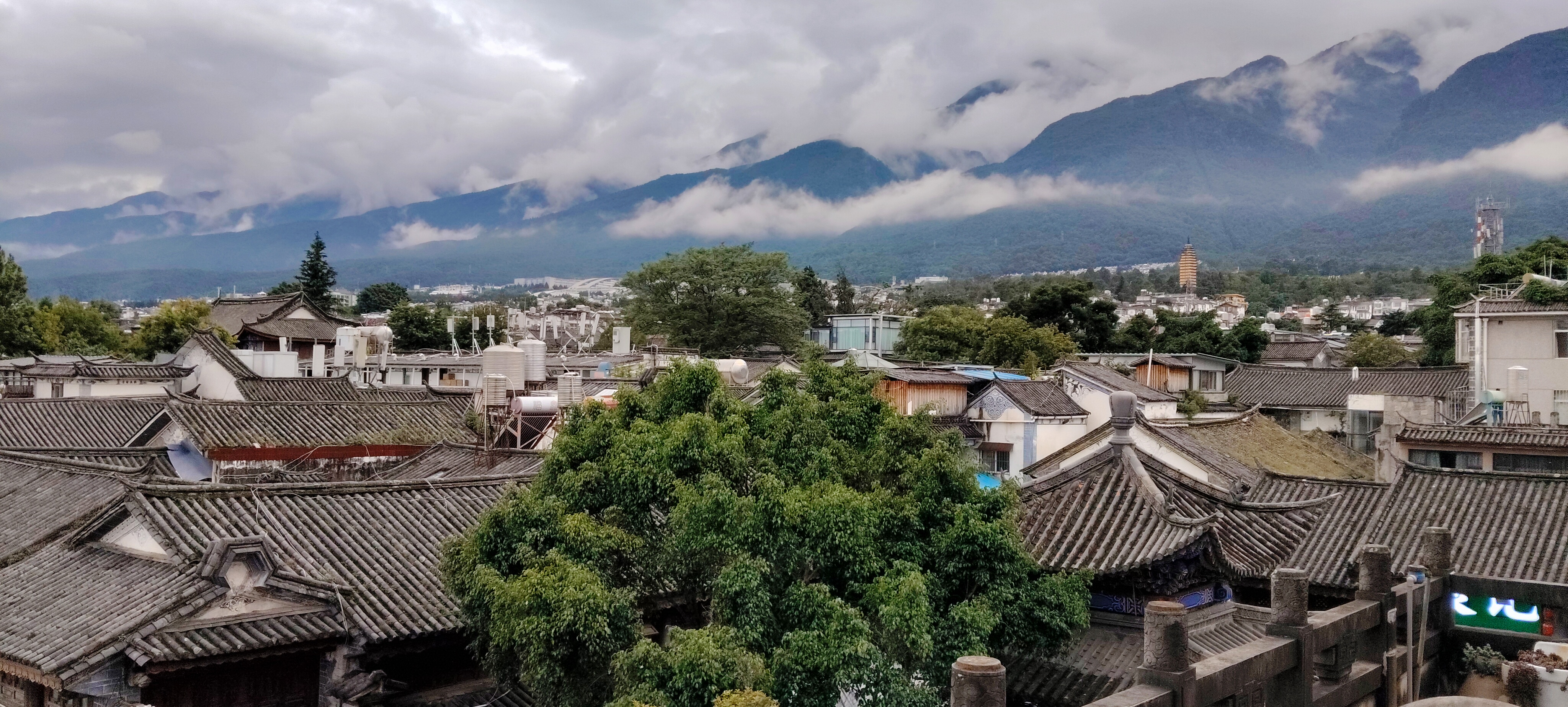 时光洪流的回答图片