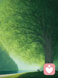 来自内心的平静配图