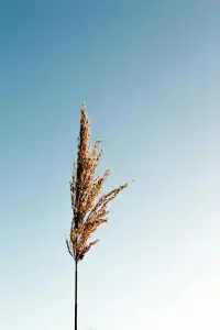 一個人能穩穩當當解決自己的生活問題，就會有極大的魅力。配圖