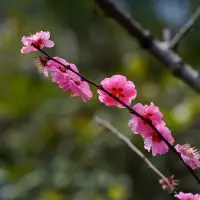 年輕人，你的職責是平整土地，
而非焦慮時光。
你做三四月的事，
在八九月自有答案。配圖