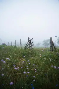 人生有兩個境界，
一個知道，一個知足，
知道自己想要的，
知足自己擁有的。配圖