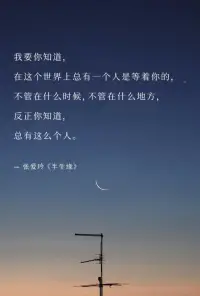 我要你知道，
在這個世界上總有一個人是等著你的，
不管在什么時候,不管在什么地方，
反正你知道，總有這么個人。

- 張愛玲《半生緣》配圖