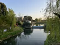 焦慮的原因就兩條:
想同時(shí)做很多事，
又想立即看到效果。配圖
