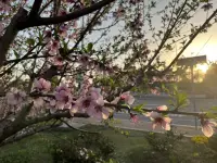 焦慮的原因就兩條:
想同時(shí)做很多事，
又想立即看到效果。配圖