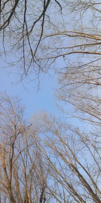 性冷淡，其實是一種自我保護。但是有可能是身體太寒涼了，要少冷飲、少寒涼、少牛奶，少預制菜，少擼鐵。多曬太陽，多戶外。配圖