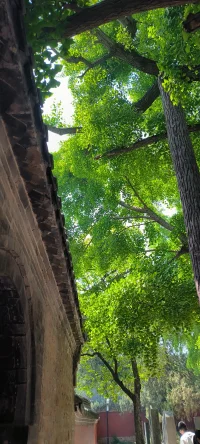不會對你做出各種判斷，沒有試圖承擔你的責任，沒有努力塑造你，真正的傾聽你配圖