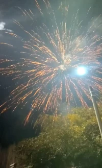 蛇年大吉大利！配圖