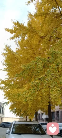 每一個想法，都是一個平行宇宙產生的源頭