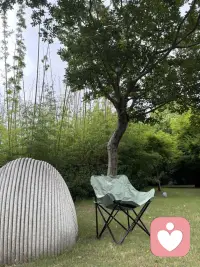 你的潜意识指引你的人生，而你称之为命运。——荣格配图