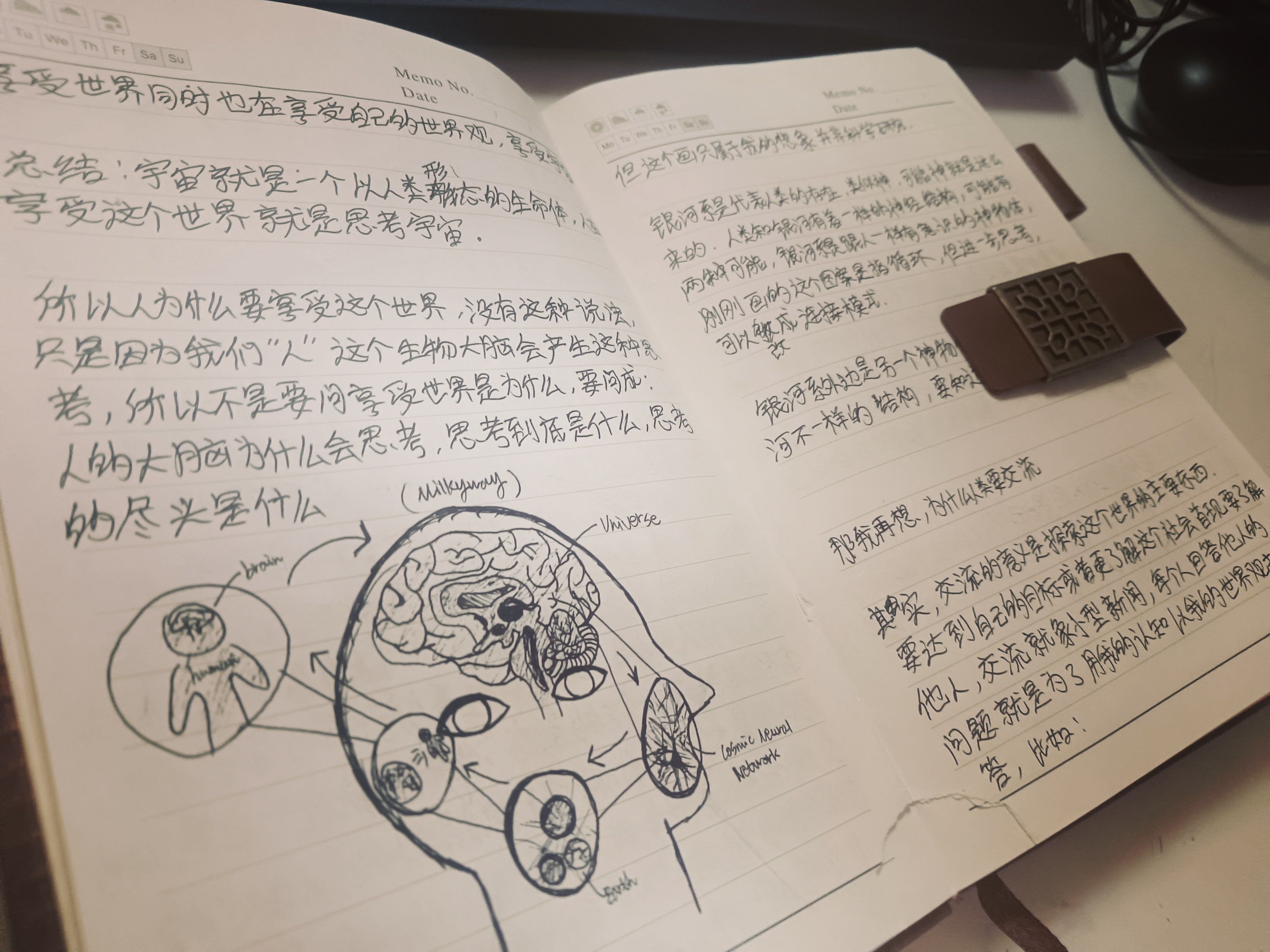 Ellen的回答图片