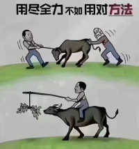 来访者挑心理咨询师，其实最好的或者说最重要的方法就是把自己要解决的问题跟心理咨询师说出来，看心理咨询师的解决方案和报价，在自己能接受的报价里面去挑选方案。

来访者用其它的方式挑，未必有那个能力。 ​​​