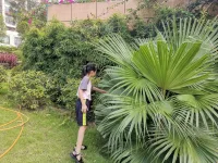 你聚焦什么就會(huì)放大什么！配圖