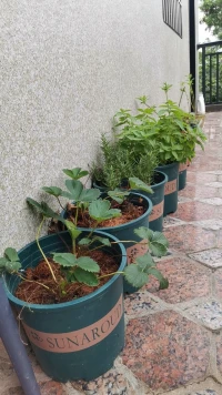 只要心態好，天天是節日，只要心態好，處處是天堂。配圖