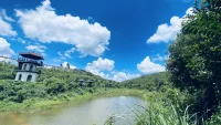 孩子愿意走的路，走得通的路才是路。配圖