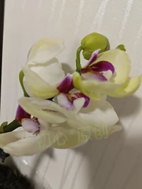 很多父母來咨詢，一張嘴就是我家孩子不愿意上學了，怎么能讓他（她）去上學，而不是我要怎樣做孩子才能和我無話不談，才可以無條件信任我。
近期的邯鄲校園霸凌事件，本人真的不想接受，可又是真實發生了的～痛心～配圖