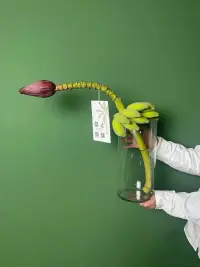 快速缓解压力的三种技巧
1. 深呼吸的“4-7-8法则”
   - 吸气4秒 → 屏息7秒 → 缓慢呼气8秒，重复3-5轮。  
   - 原理：激活副交感神经，抑制“战斗或逃跑”反应。 

2. 感官安抚法
   - 冷刺激：用冷水轻拍脸部，或手握冰块30秒。  
   - 嗅觉：闻薰衣草、柑橘类精油（调节杏仁核情绪反应）。  
   - 触觉：触摸毛绒玩具、裹紧毛毯（触发安全感）。 

3. “5-4-3-2-1” grounding 练习（针对焦虑失控时）：  
   说出你看到的5样东西 → 听到的4种声音 → 触摸到的3种触感 → 闻到的2种气味 → 尝到的1种味道。配图