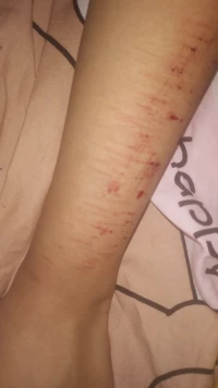 就這樣吧。。配圖