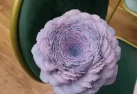 花花蛋糕 生活是甜蜜的配圖