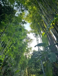 我們每個人的內心深處都只是曾經的那個孩子。這個孩子造就了我們過去所經歷的一切、現(xiàn)在的生活以及未來的生活。配圖
