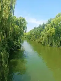 人心如同秋日之湖，表面平靜，深處藏著無盡的智慧和力量。學會傾聽，方能理解萬物的呼喚。配圖