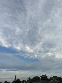 恐惧如同老虎时刻在线袭击内在世界，如何面对这样的情绪？

情绪来自内在认同，被现实的冲突抓取。因此，从底部治疗效果俱佳。配图