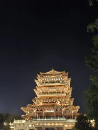 我們很多的關(guān)系當中都和我們過往的經(jīng)歷和原生家庭是正相關(guān)的，比如親密關(guān)系的難以建立，一定是和你父母的一方的連接存在問題。
也許我們不是要追究他們的責任，而是要讀懂自己習得的這些經(jīng)驗與習慣。配圖