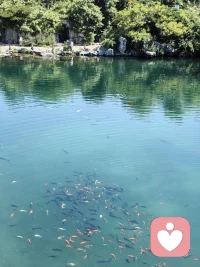 是什么影響你心情心情？是別人還是自己？也許是別人，別人的話語和眼光。或者是自己，不如意，不開心，都不要，可是他們?cè)冢Σ坏簟?心情還在，只是不安寧了。
那就感受她。配圖